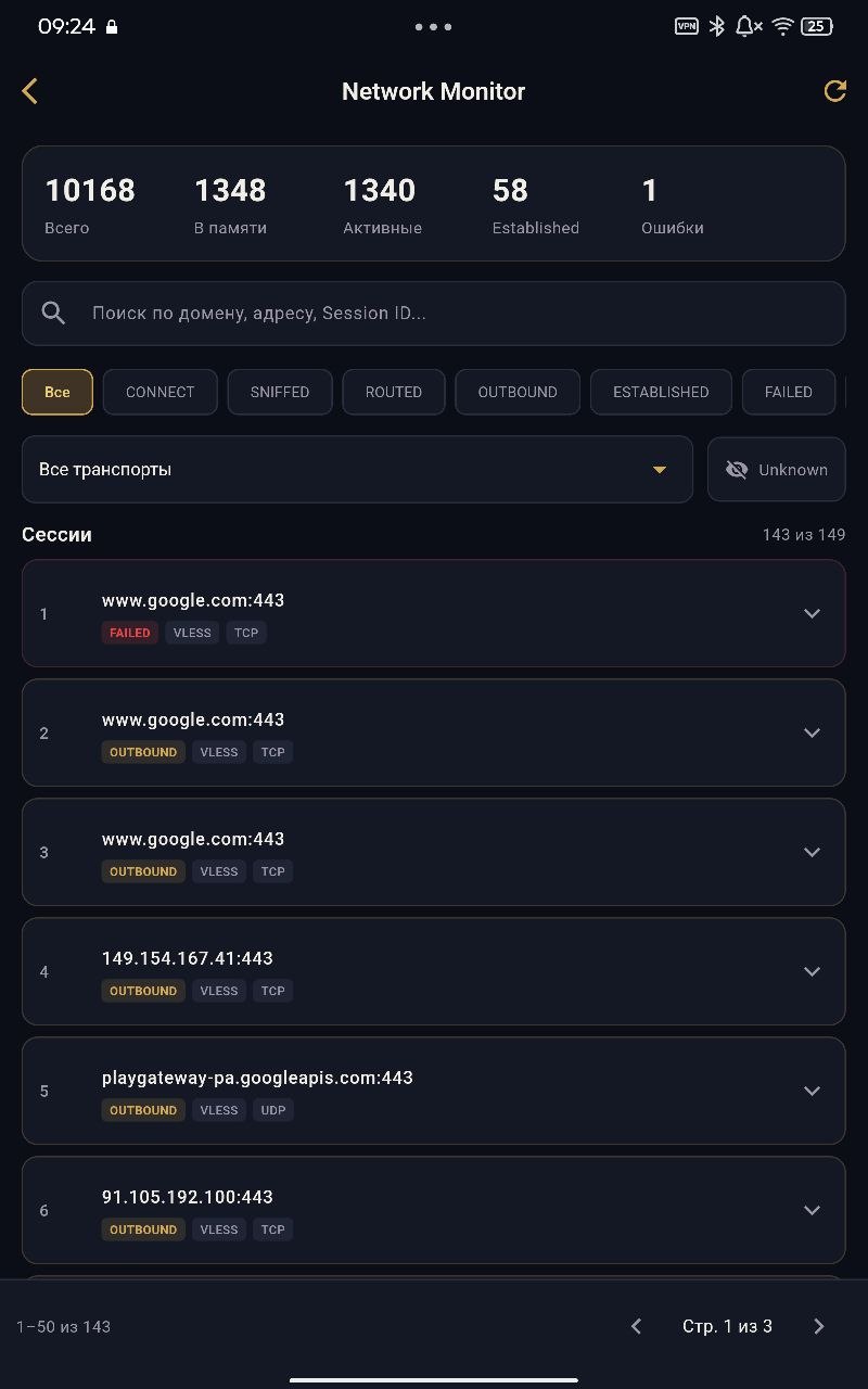 Network Monitor XRayVless — сетевые соединения в реальном времени